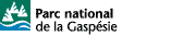 LogoGAS.gif (1012 bytes)