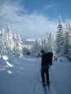 nat_and_the_snow.jpg (70759 bytes)