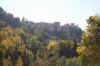alhambra_granada.jpg (72027 bytes)