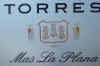 torres.jpg (40719 bytes)