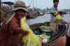 mekong_banana.jpg (113678 bytes)