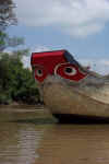 mekong_eye.jpg (58251 bytes)